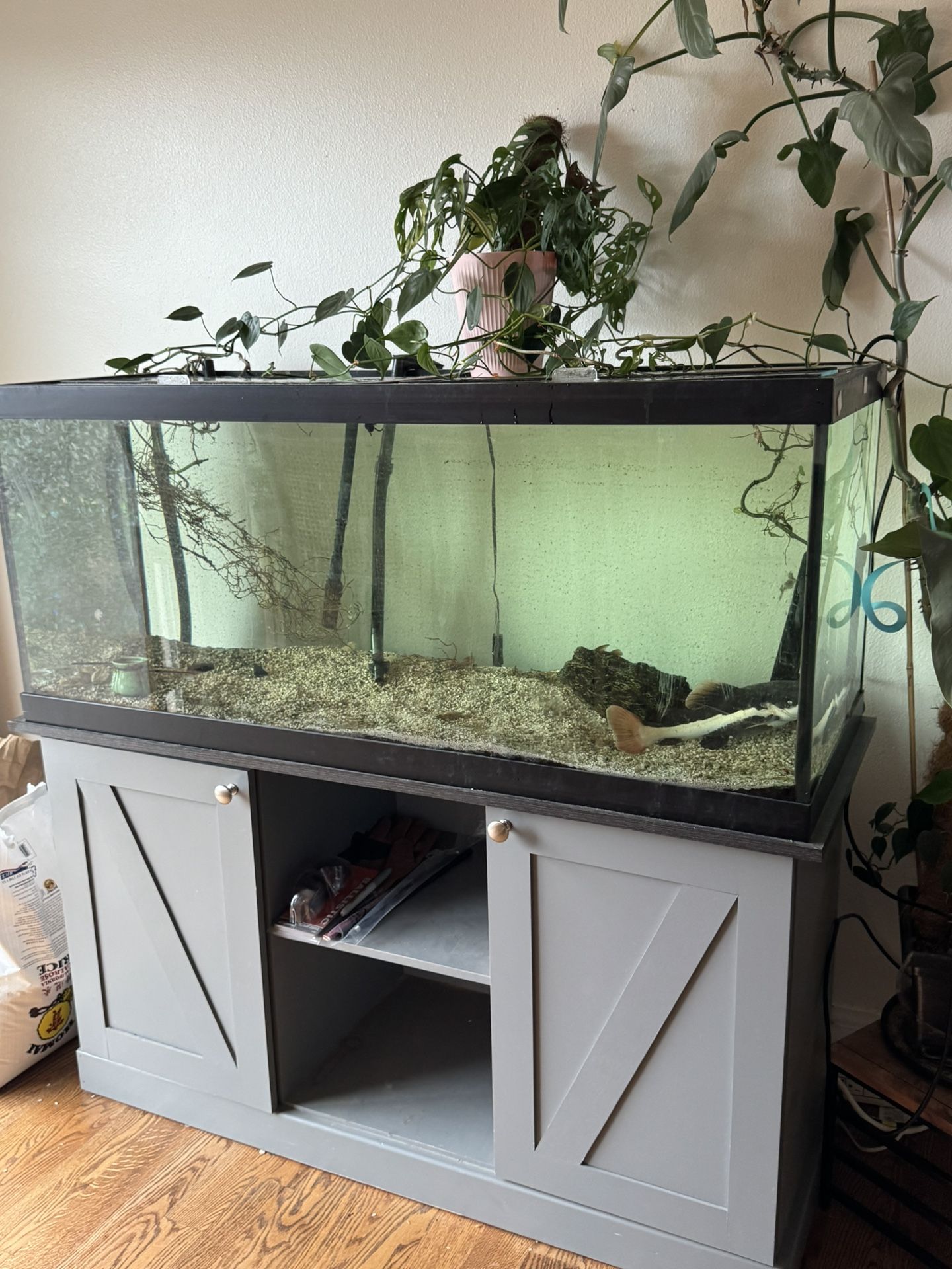 75 Gallon Tank With Stand