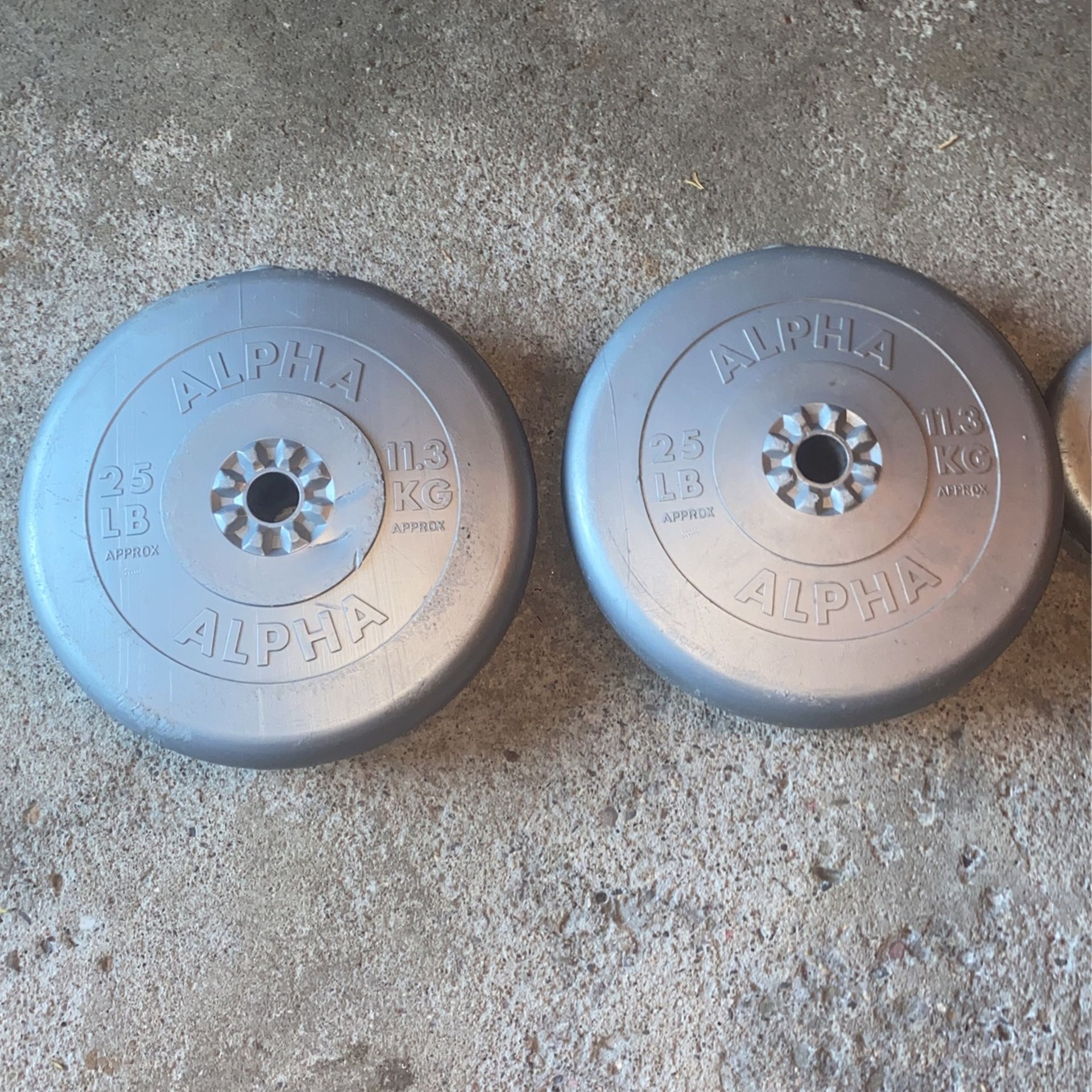 25s And 5s For Bench Press Pole