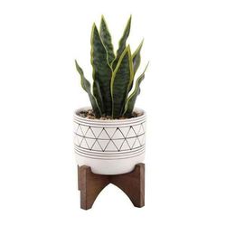 NEW - Flora Bunda 12 in. Faux Snake Plant #0107