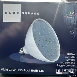 Swimming Pool Color Light