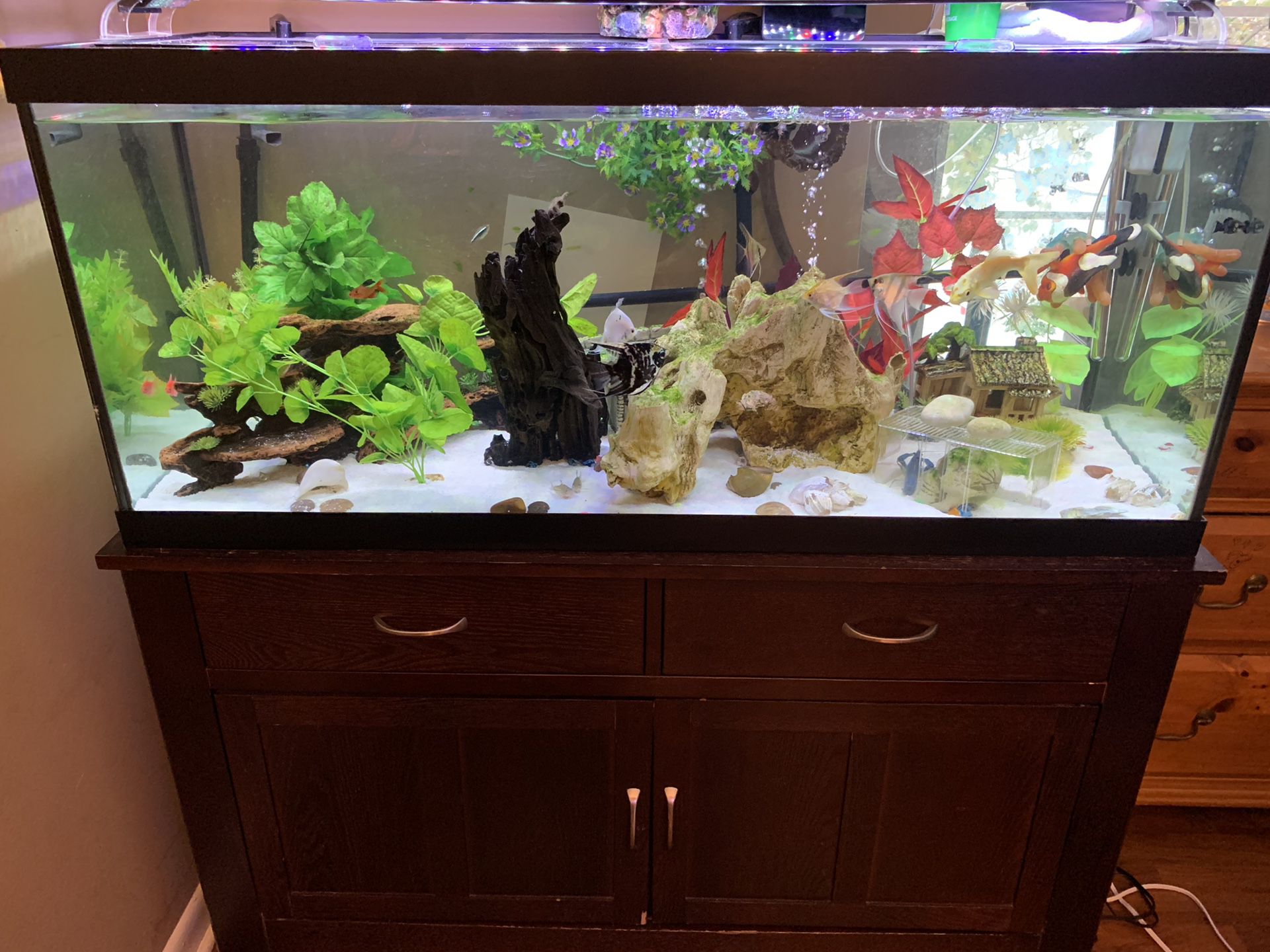 Fish tank, stand, filter, light and accessories 75 gallons / pecera, mueble, luces, filtro y accesorios