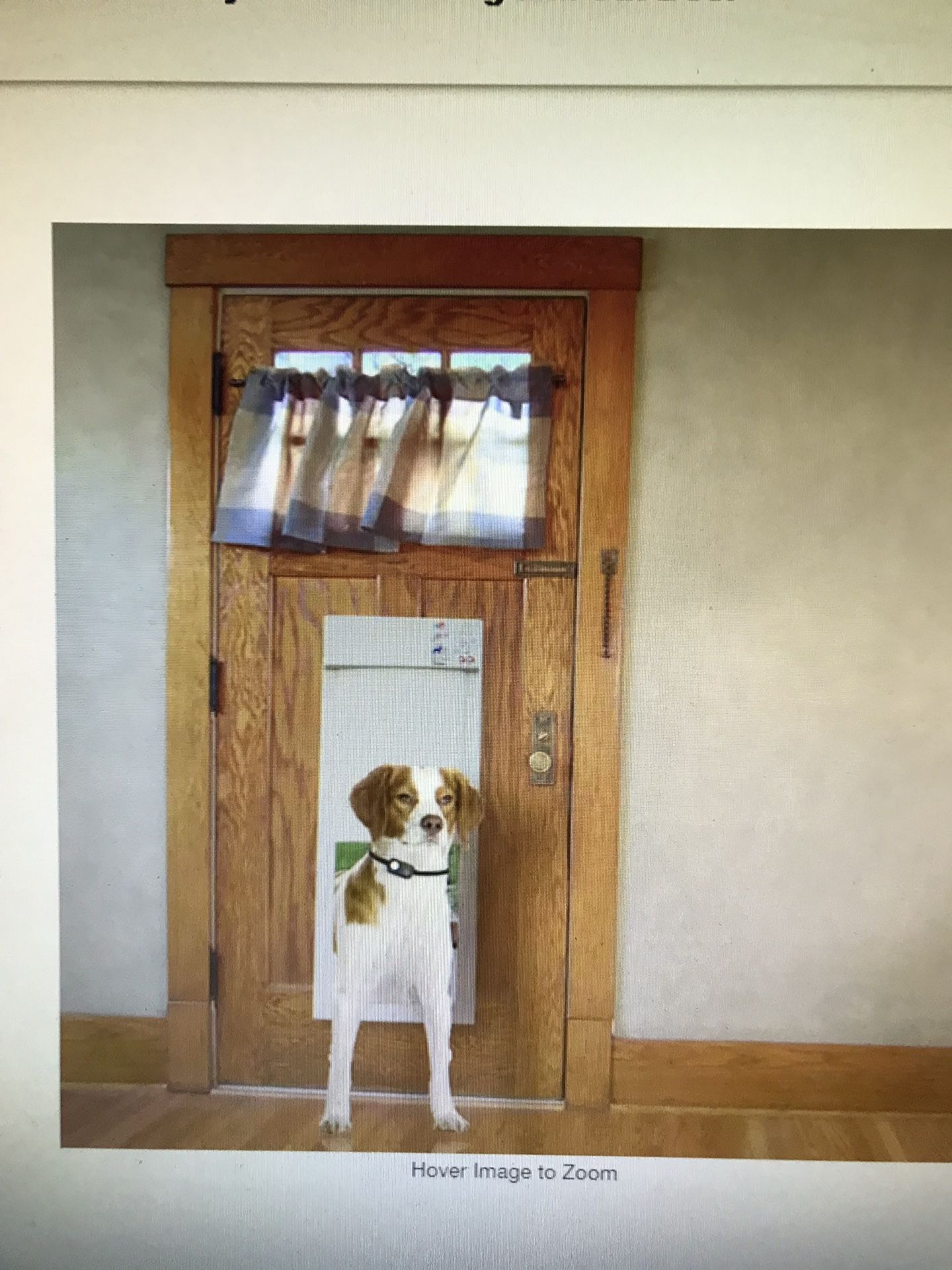 High Tech Pet 8 in. x10 in. Power Pet Electronic Fully Automatic Dog ...