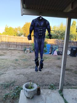 Black Panter