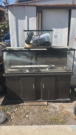 Fish tanks with everything included