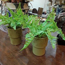 Decor Plants In Beautiful Ceramic Pots Both $5 In Weeki Wachee Spring Hill
