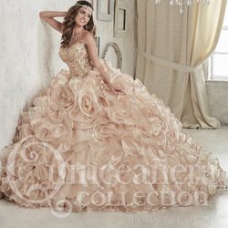 Size 22 Quinceanera Dress  Style: 26839