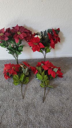 Poinsettias $20.00