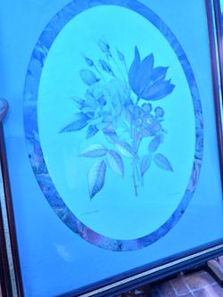 Framed print