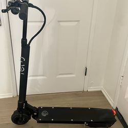 Electric Scooter Ecoreco