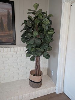 Fiddle Fig Tree (Faux) with Basket