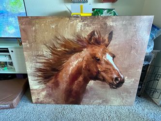 Horse picture