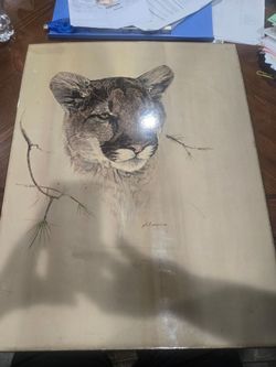 Vintage Phil Prentice mountain lion wall art