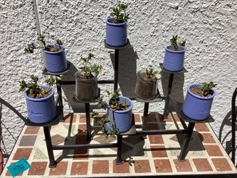 Wrought iron supports plants $15