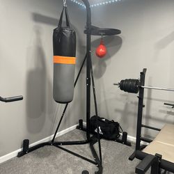 Punching Bag With Speed Ball