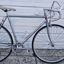 22" Raleigh Technium 1x6 Speed Bike
