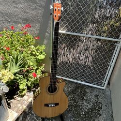 Electric Acoustic Bass Guitar. 🎸 