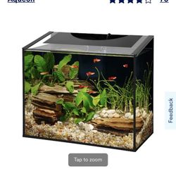 Fish Tank 6 Gallons 
