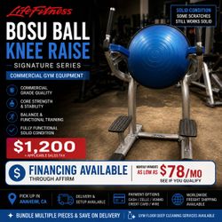 Life Fitness Signature Series Bosu Ball Knee Raise - Commercial Gym Equipment