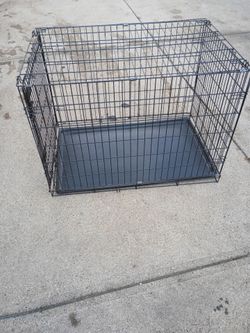 Large dog crate