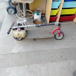 Gas Powered GoPed With Purple Anodized Parts