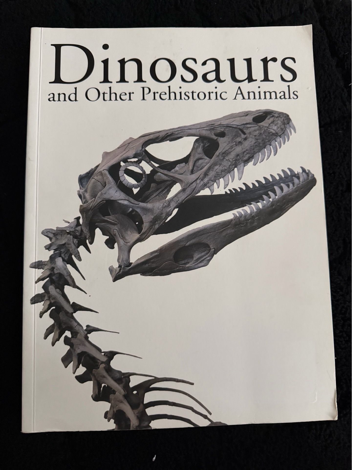 Dinosaurs and Other Prehistoric Animals Book โ Large Colorful Dinosaur Encyclopedia ๐ฆ