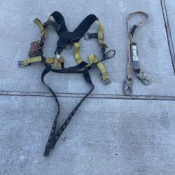 Safety Harness