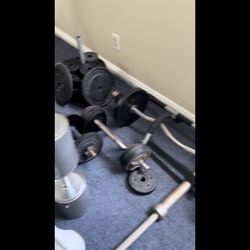 Weights Whole Gym