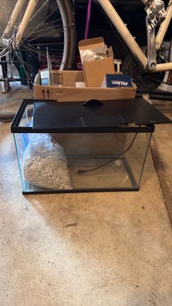 3 Gallon Fish Tank and accessories
