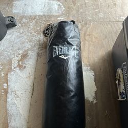 Everlast Boxing Bag