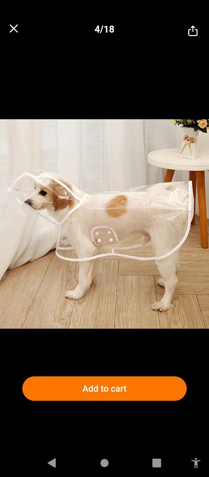Pet Raincoat 
