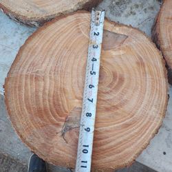 WOOD  SLICES.......