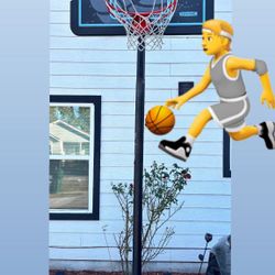 Lifetime 44-inch Impact Portable Basket Hoop