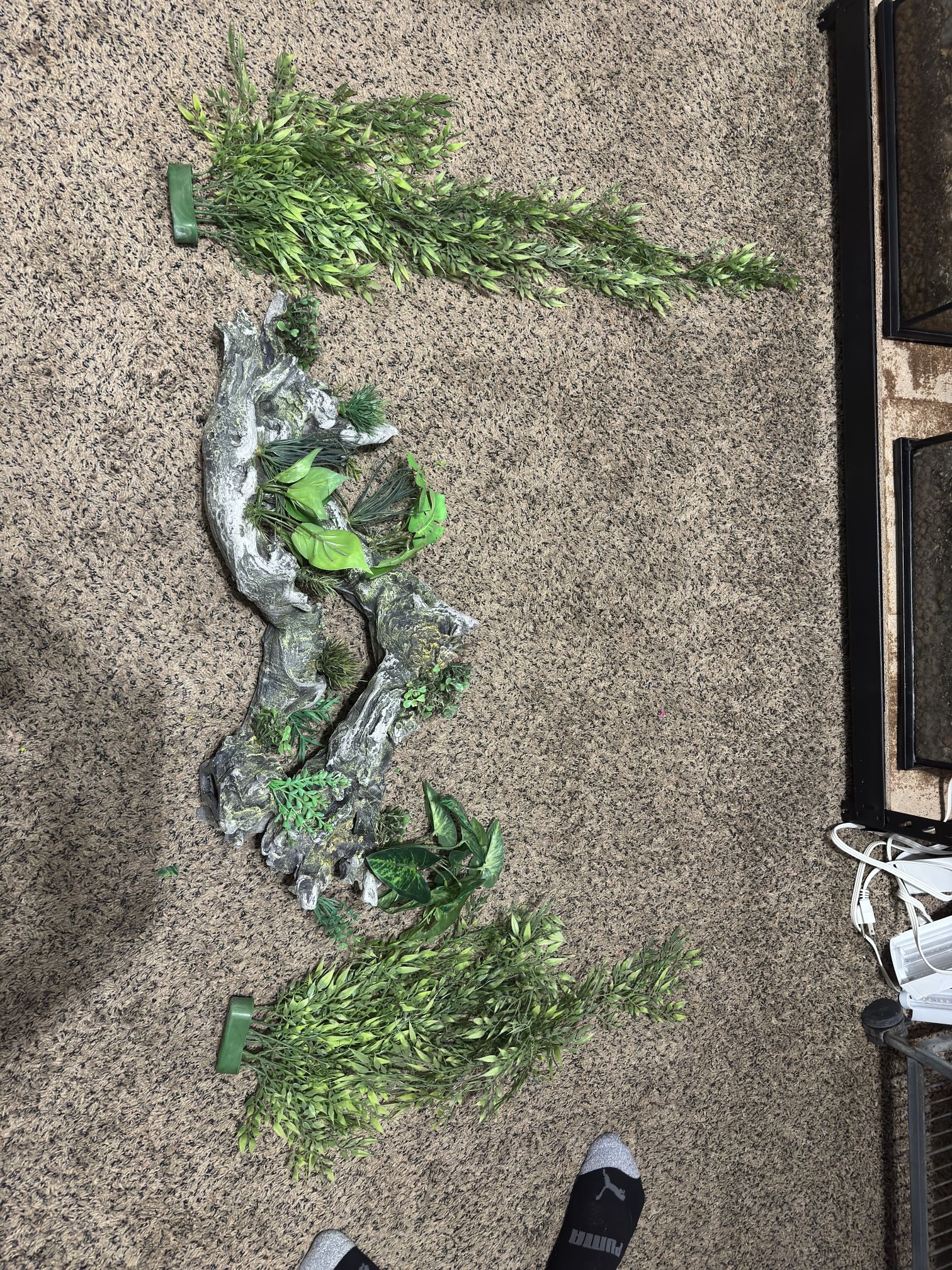 Aquarium Plants 