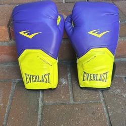 Youth Or Women’s Boxing Gloves 