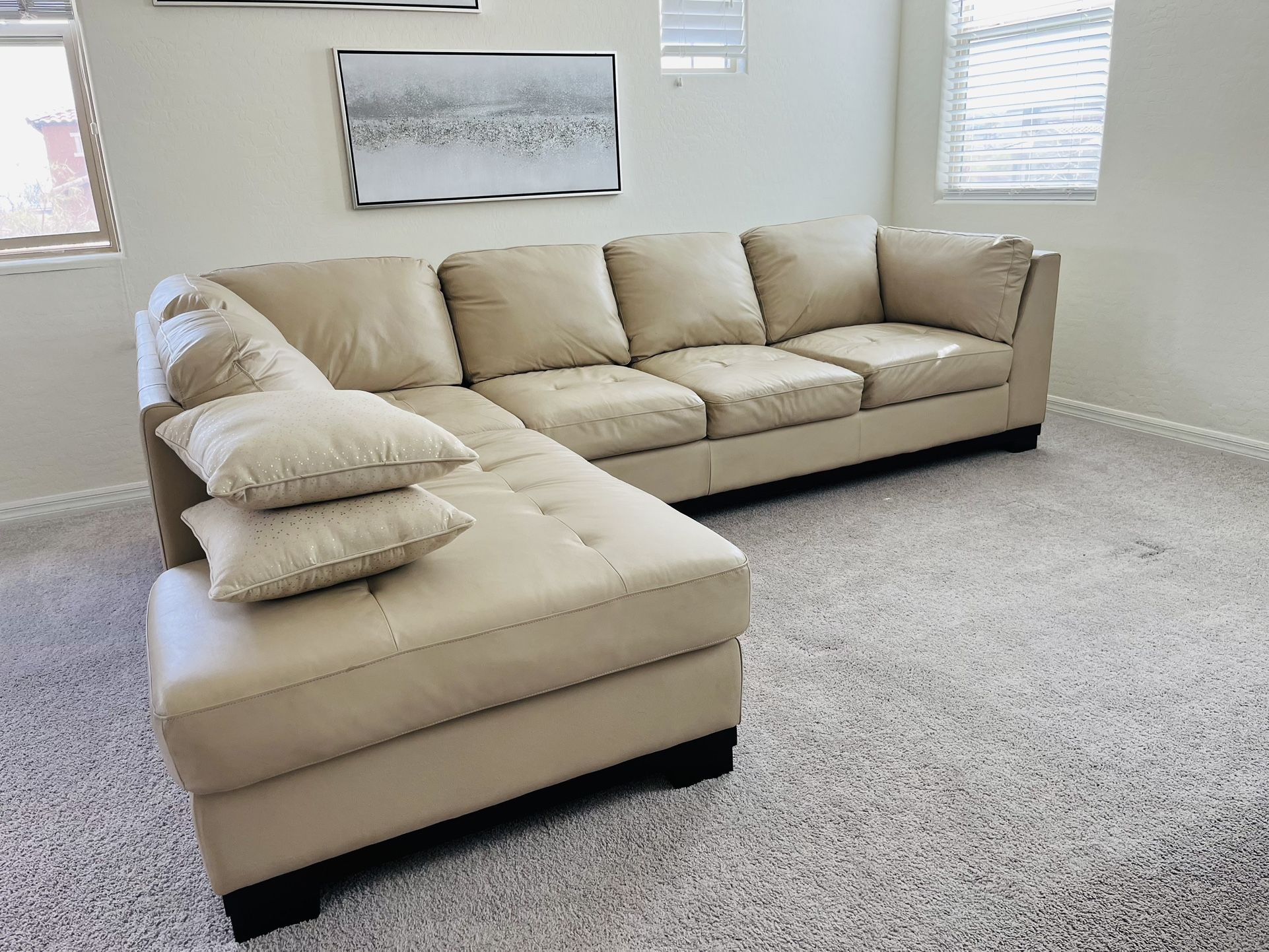 Leather Sectional Couch