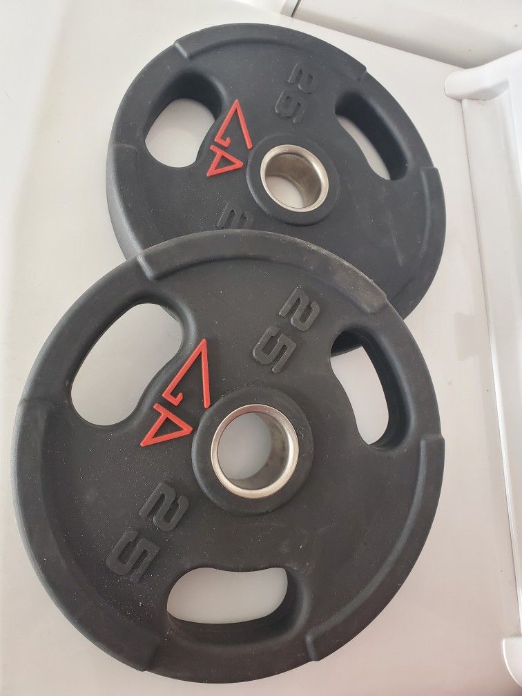 50 LB Barbell Plates (2x25 LB) – $80 for Pair – Great Condition