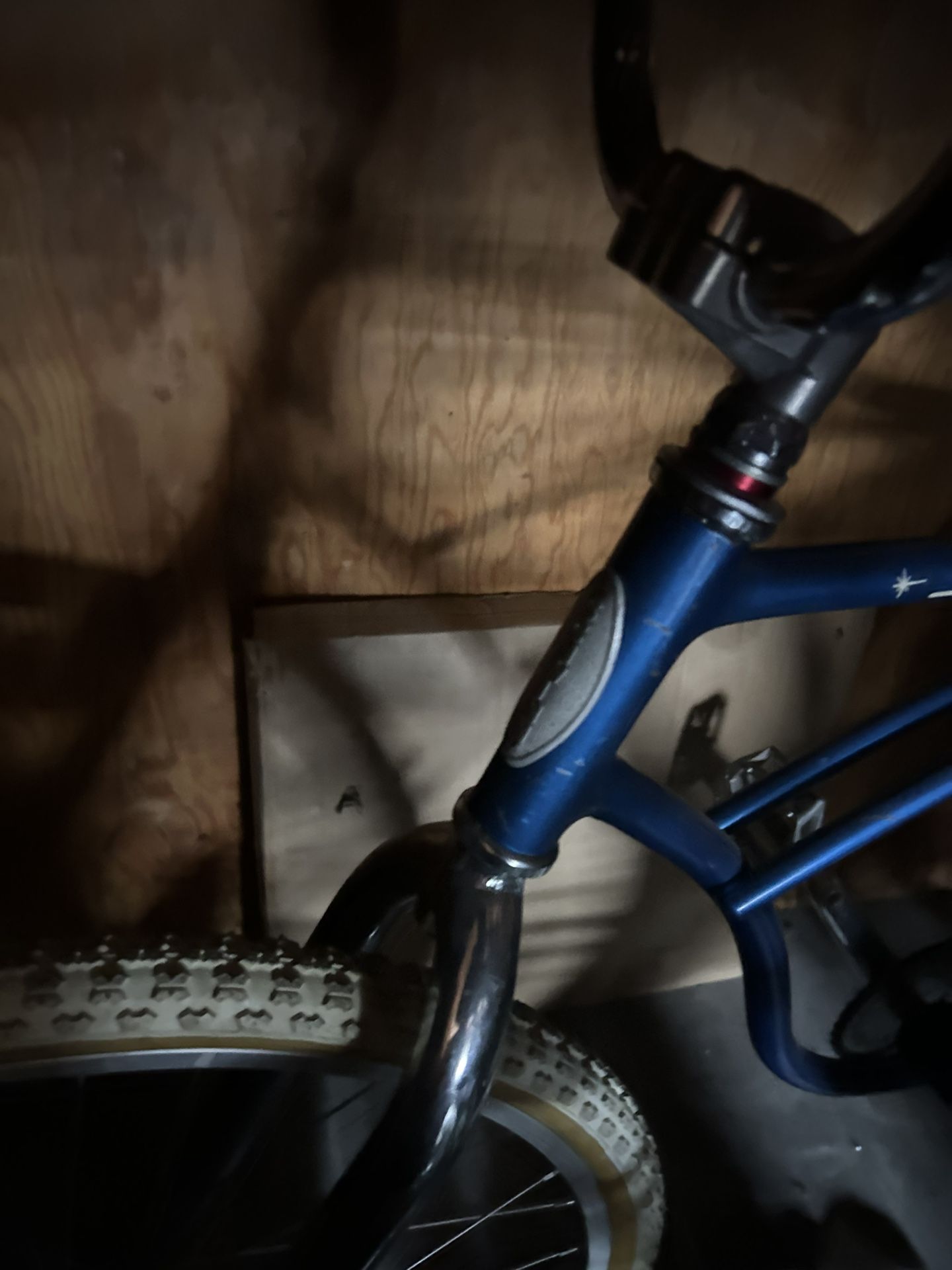 Schwinn