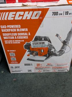 Echo backpack blower