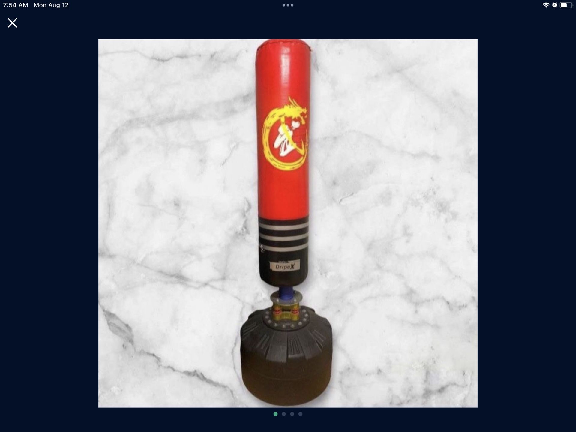 Kickboxing Punching Bag