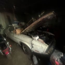 73 Mustang