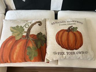 Throw pillow set