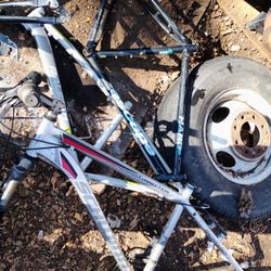 Bike Frames 