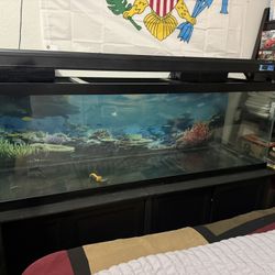 125 Gallon Fish Tank Only For Sale