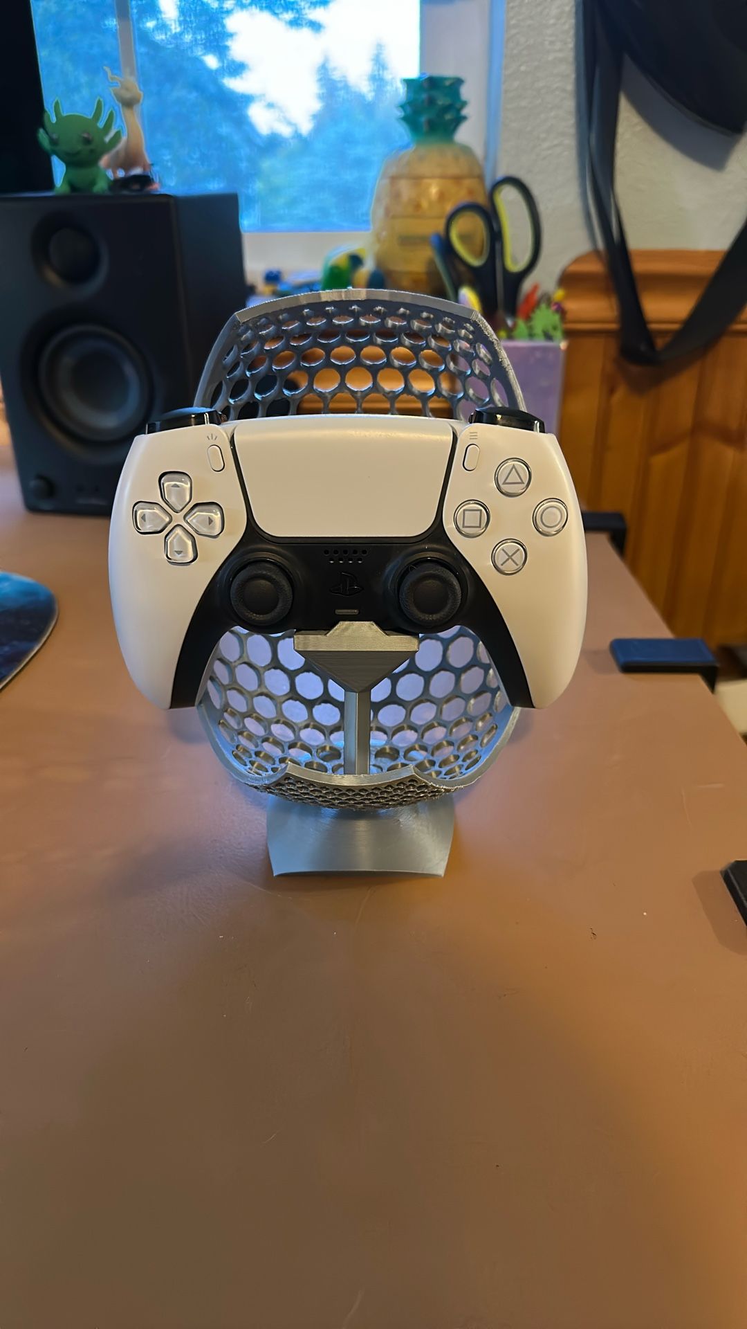 Ps5 Controller