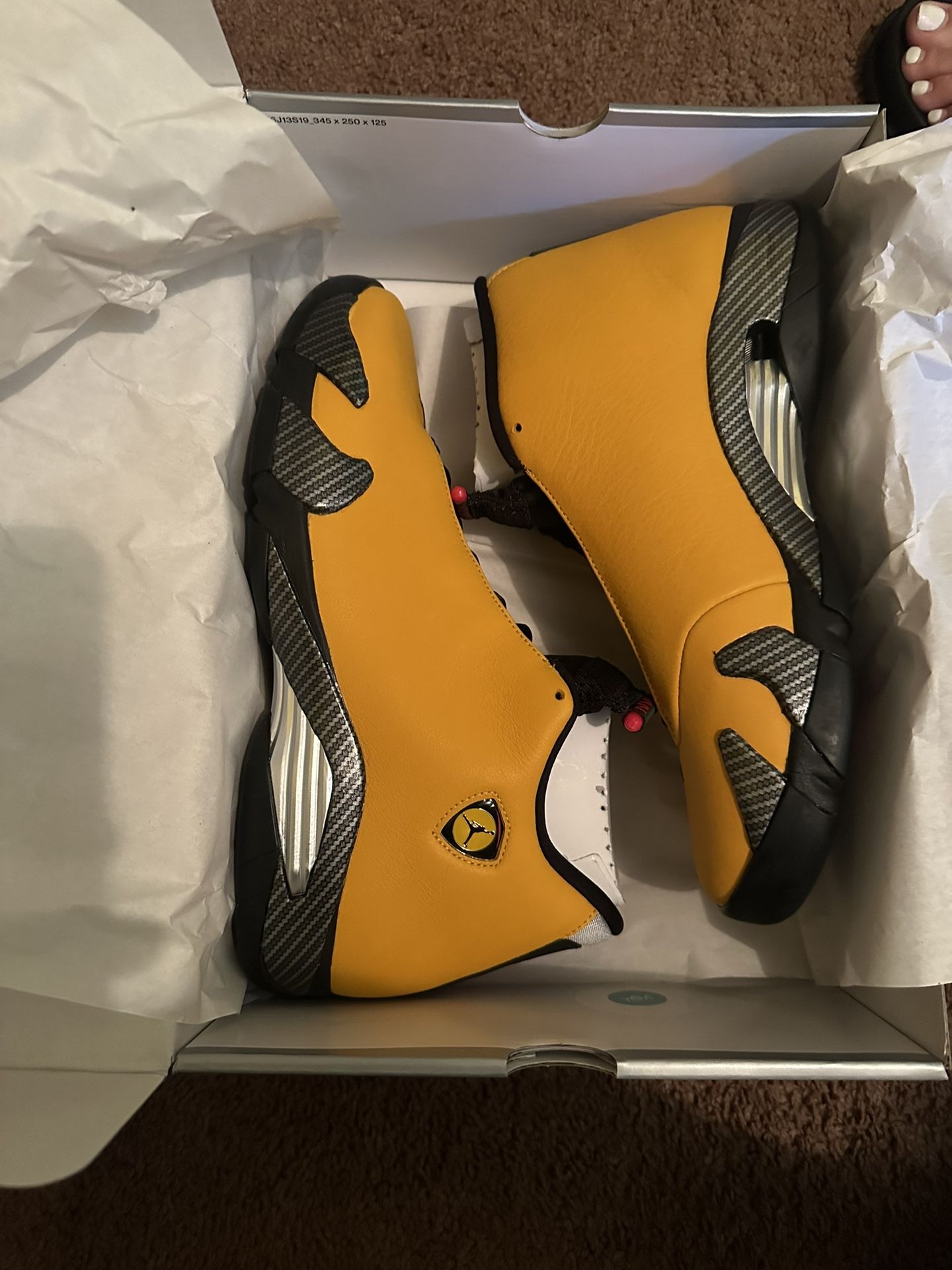Jordan 14 Reverse Ferrari Size 11 