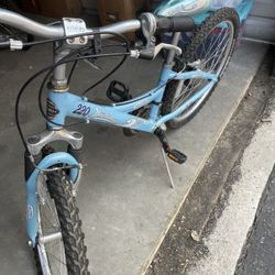 220 Mountain Trek Bike