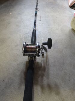 Fishing rod and reel