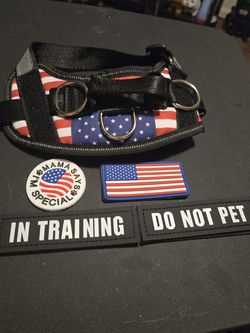 Dog Harness
