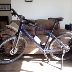 TREK Dual Sport 2 Bicycle