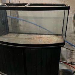 Fish Tank & Stand 